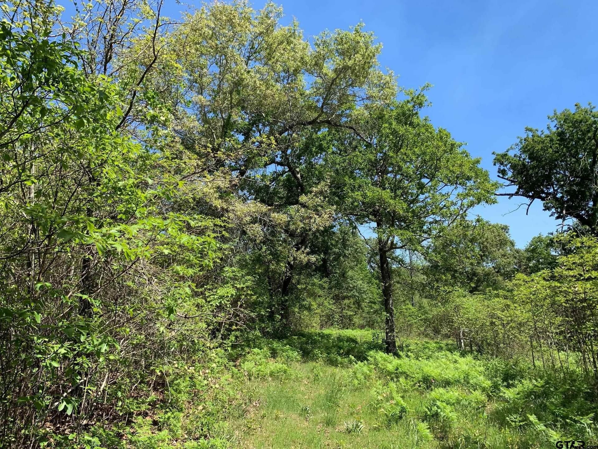 42.53 acres in Henderson County - photo 19