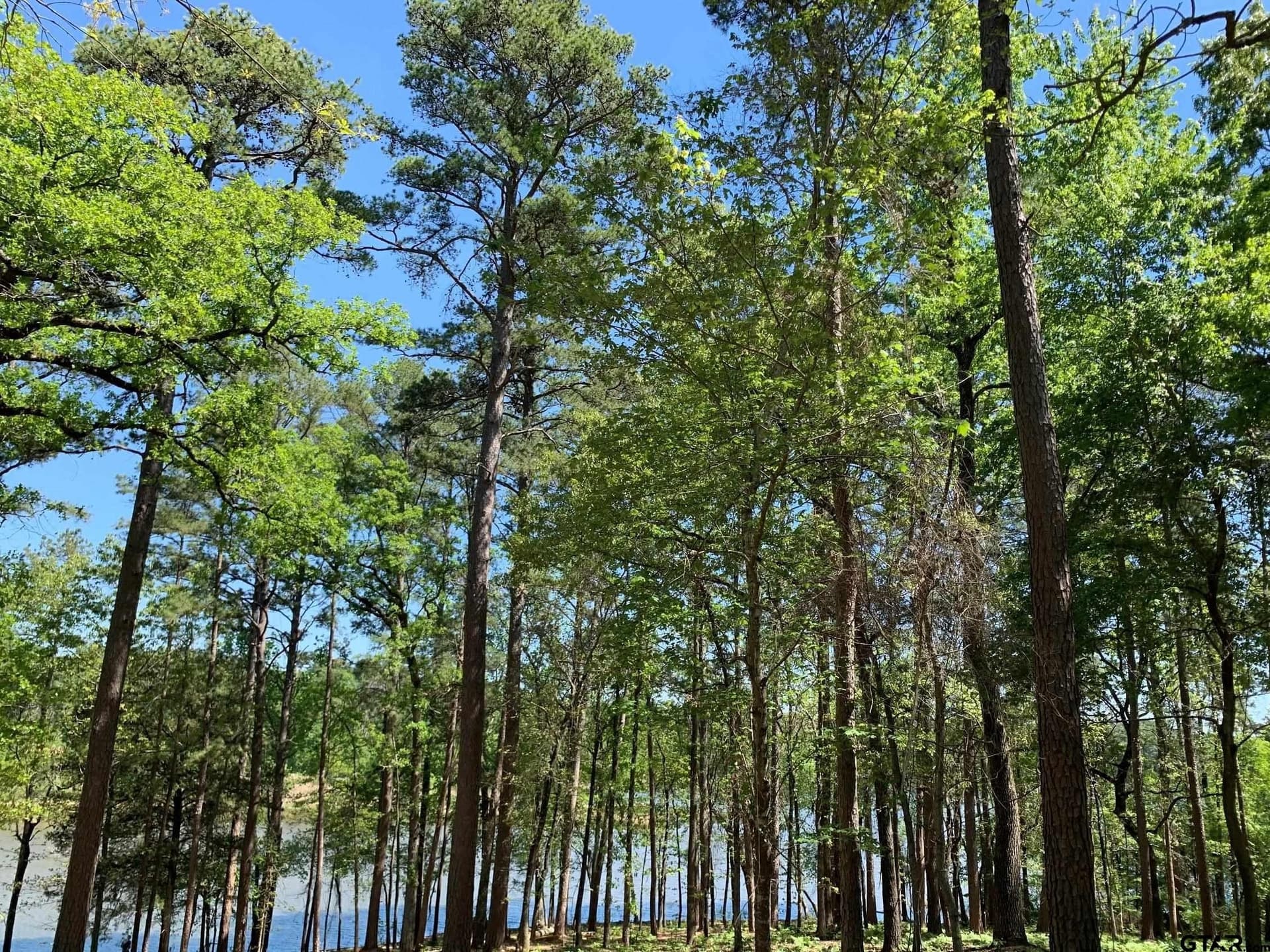 42.53 acres in Henderson County - photo 17