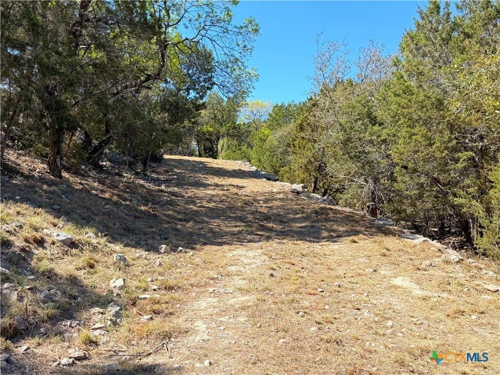 1.09 acres in Comal County - photo 24