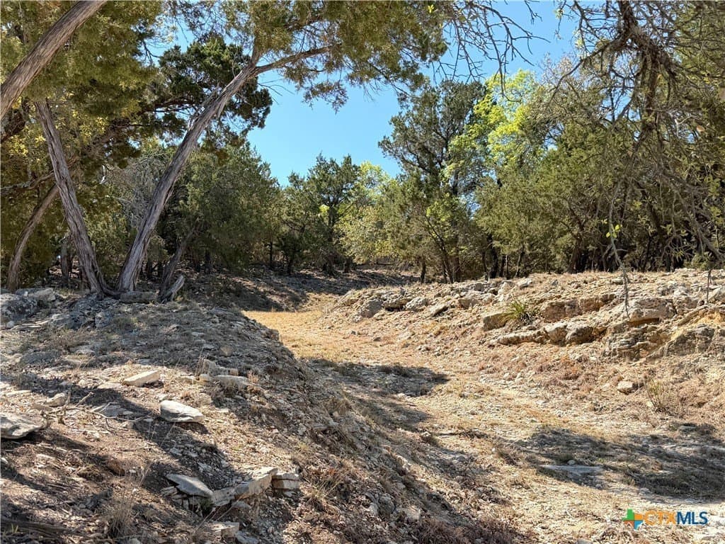 1.09 acres in Comal County - photo 12