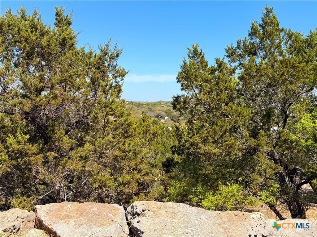 1.09 acres in Comal County - photo 15