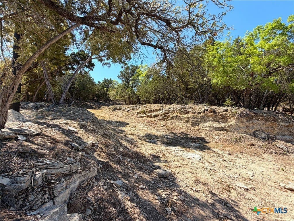 1.09 acres in Comal County - photo 13