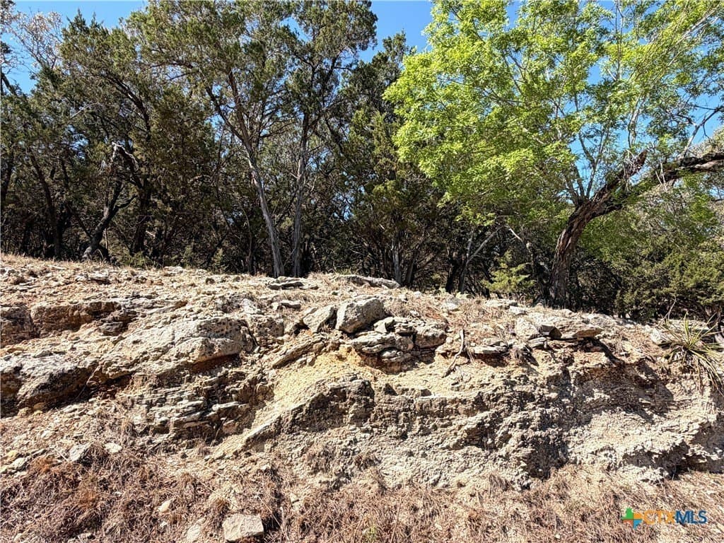 1.09 acres in Comal County - photo 6