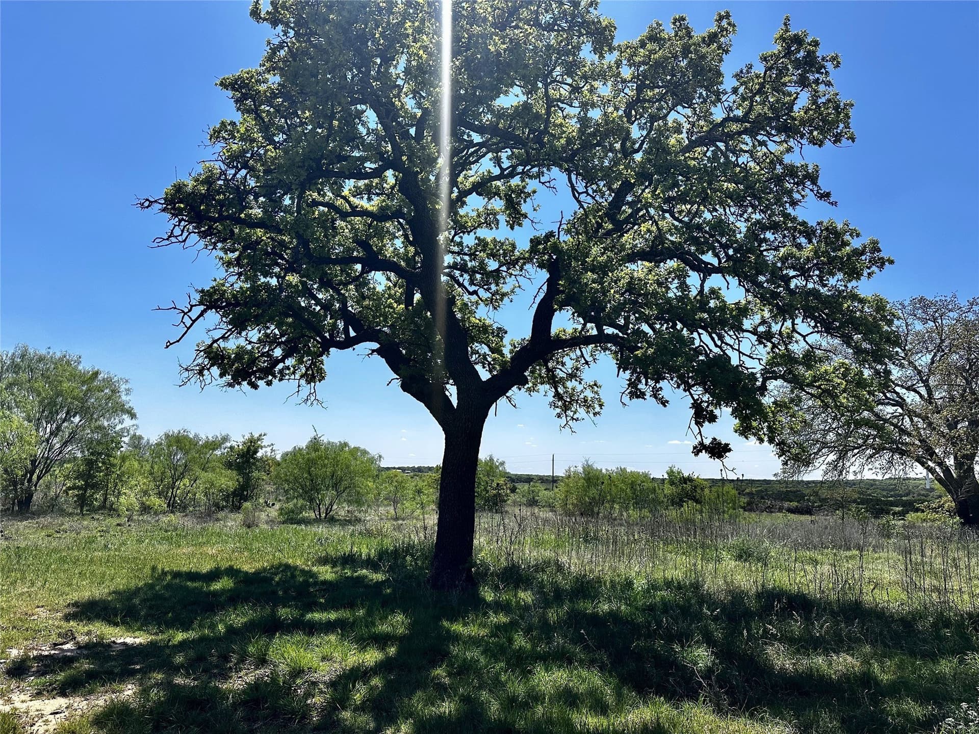 17.41 acres in Callahan County - photo 28
