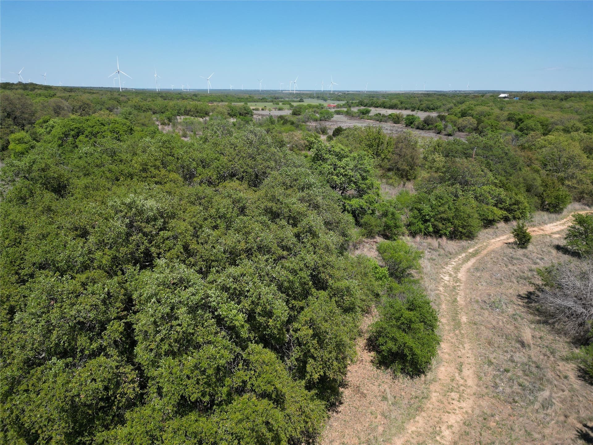 17.41 acres in Callahan County - photo 29