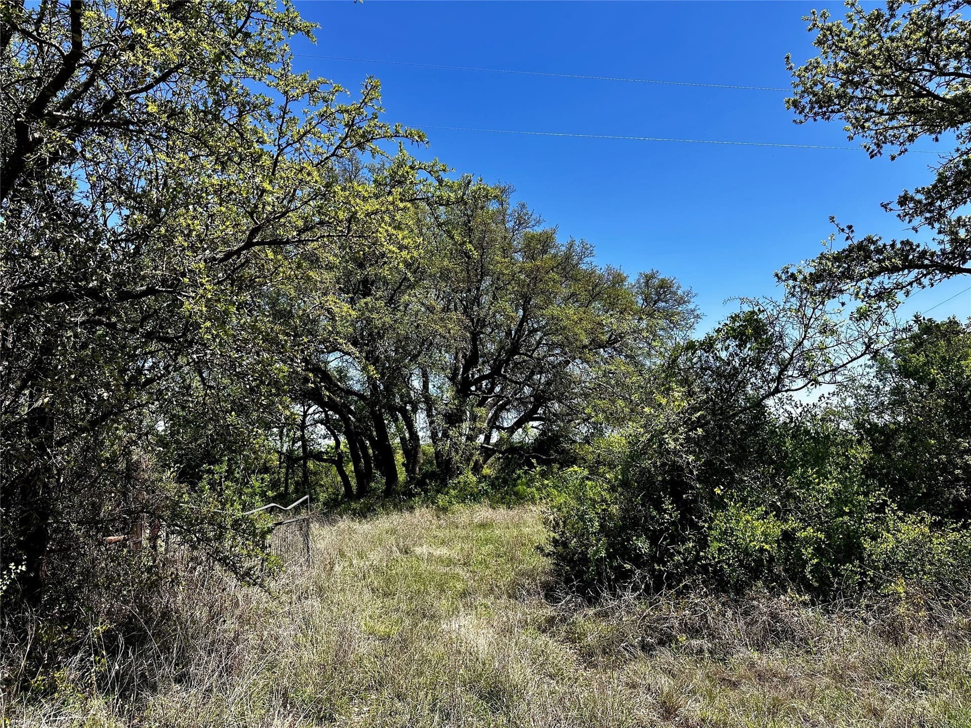17.41 acres in Callahan County - photo 27