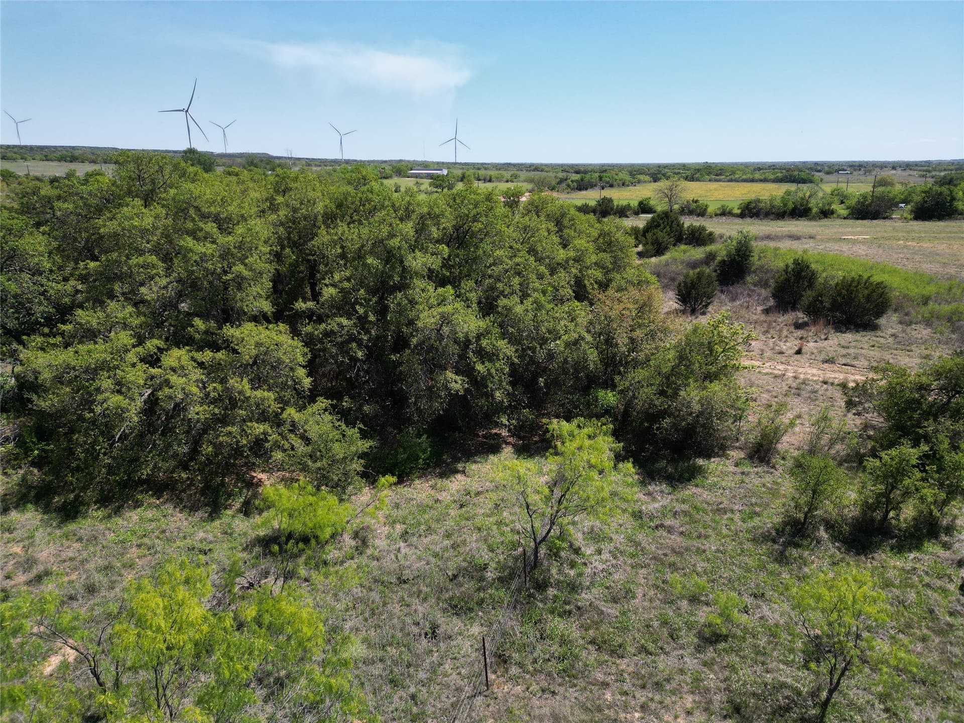 17.41 acres in Callahan County - photo 32