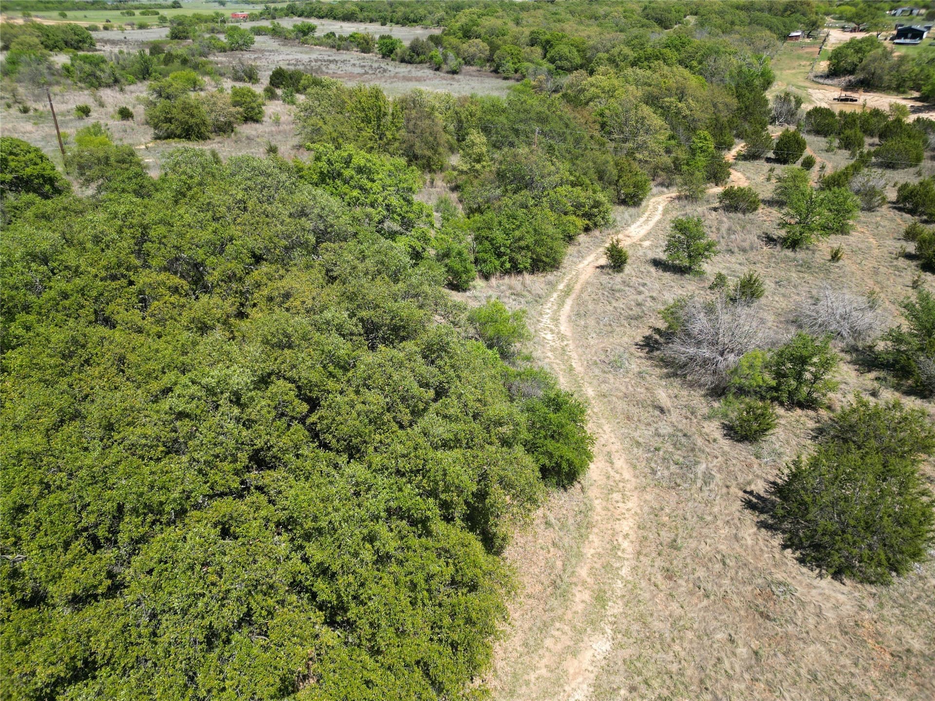 17.41 acres in Callahan County - photo 30
