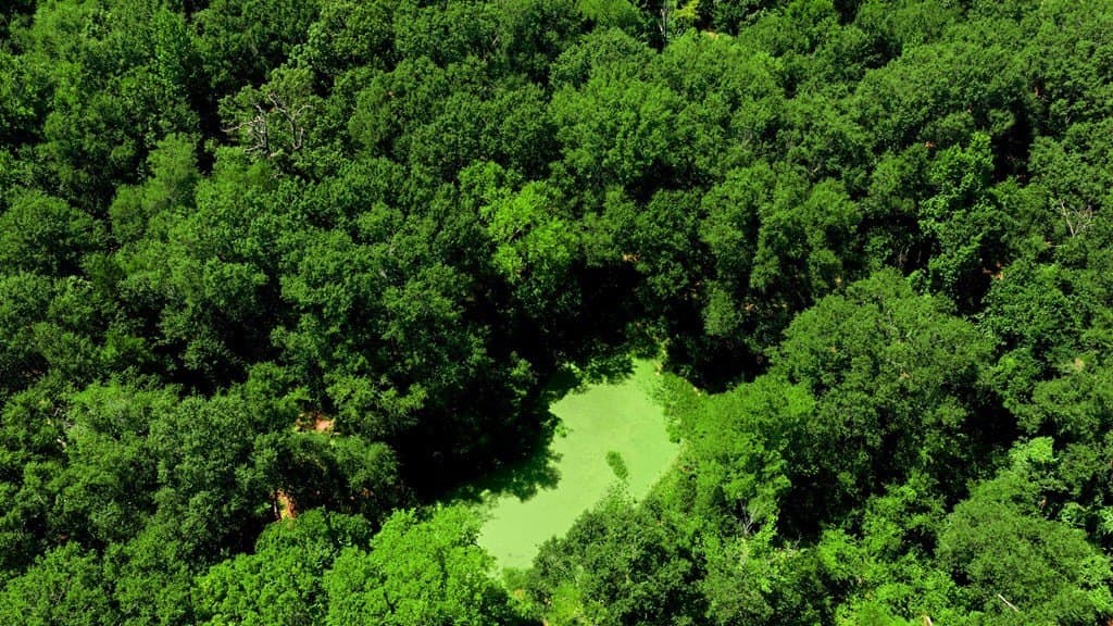 13.48 acres in Henderson County - photo 32