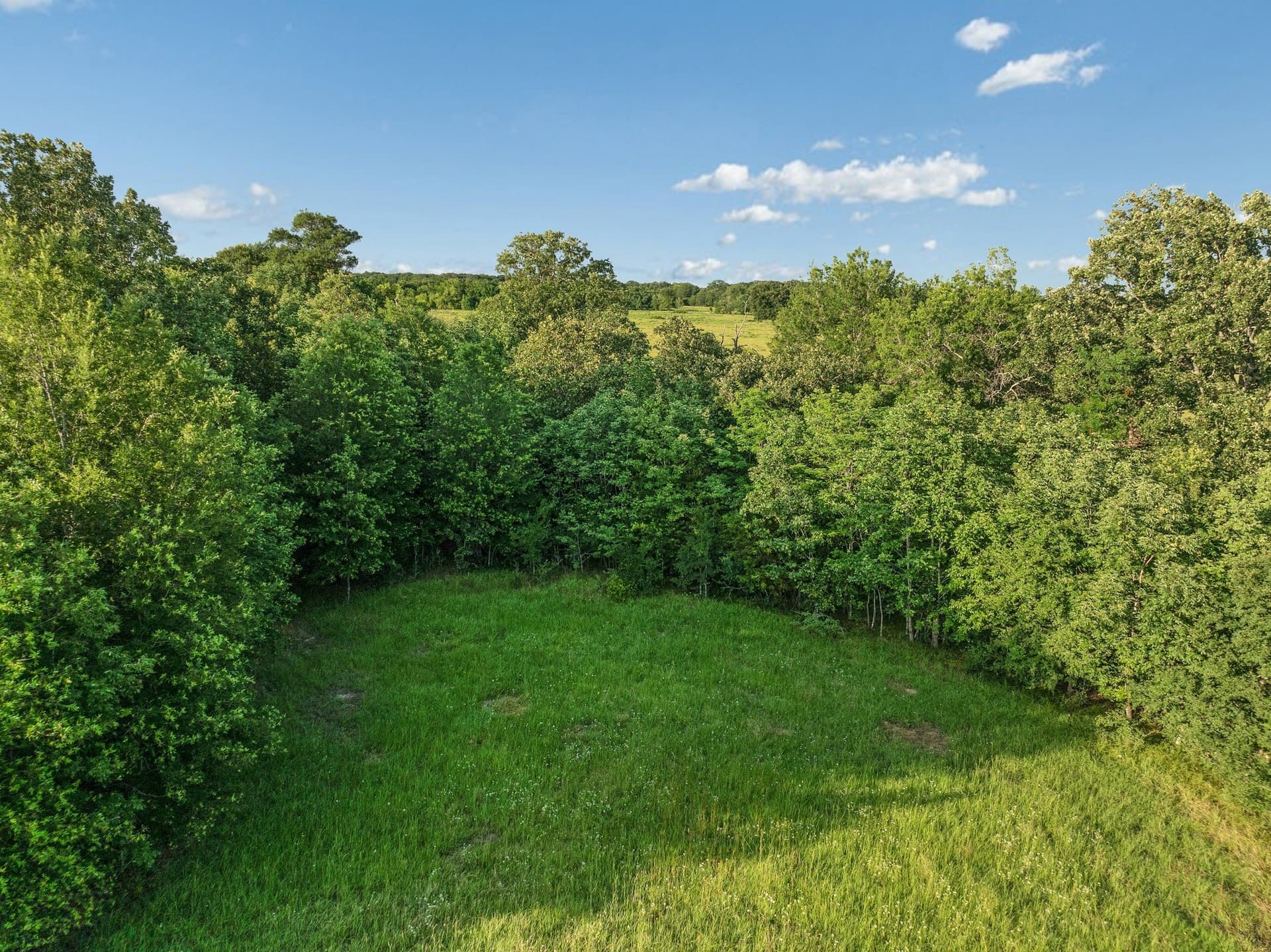 121.93 acres in Lamar County - photo 6