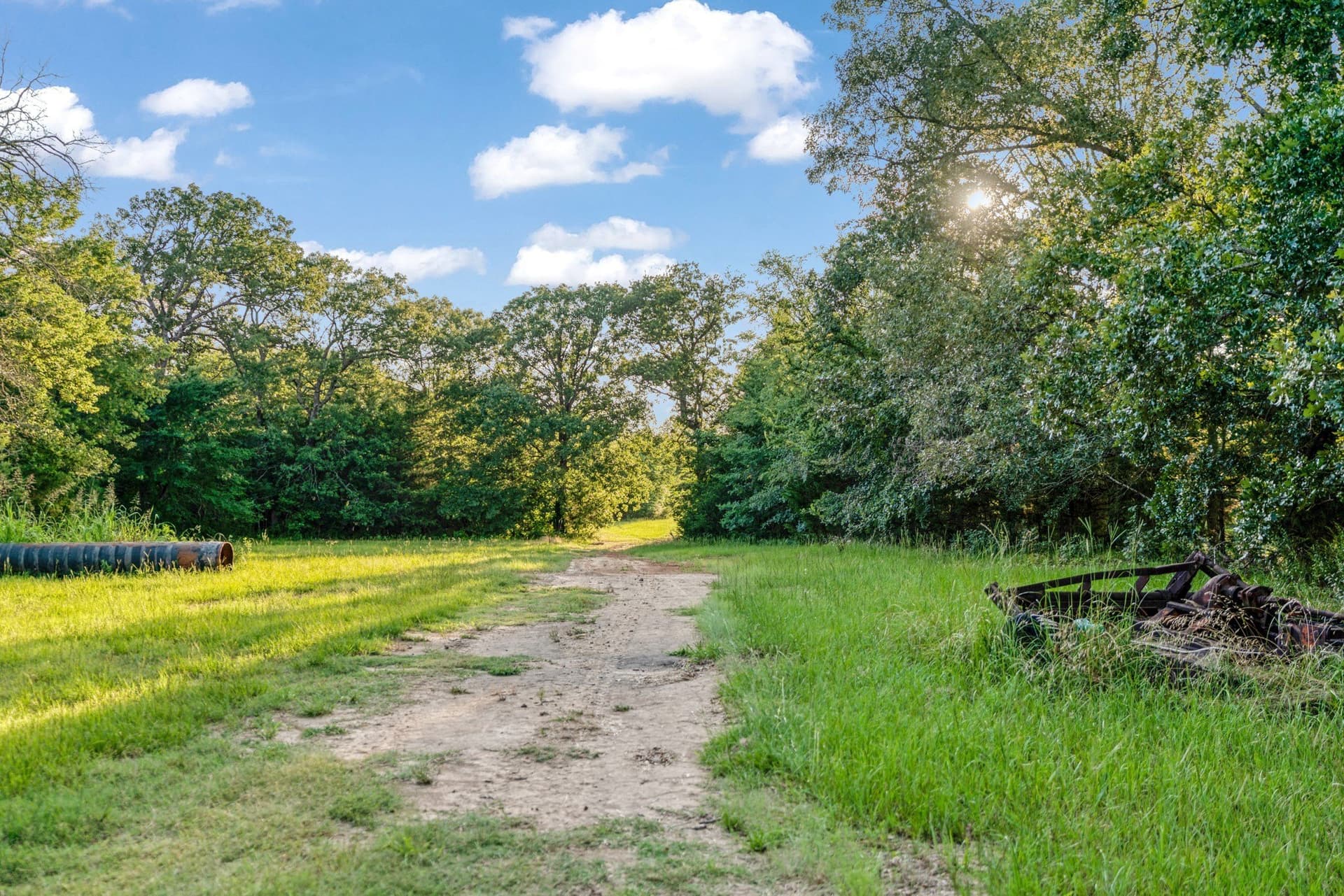 121.93 acres in Lamar County - photo 13