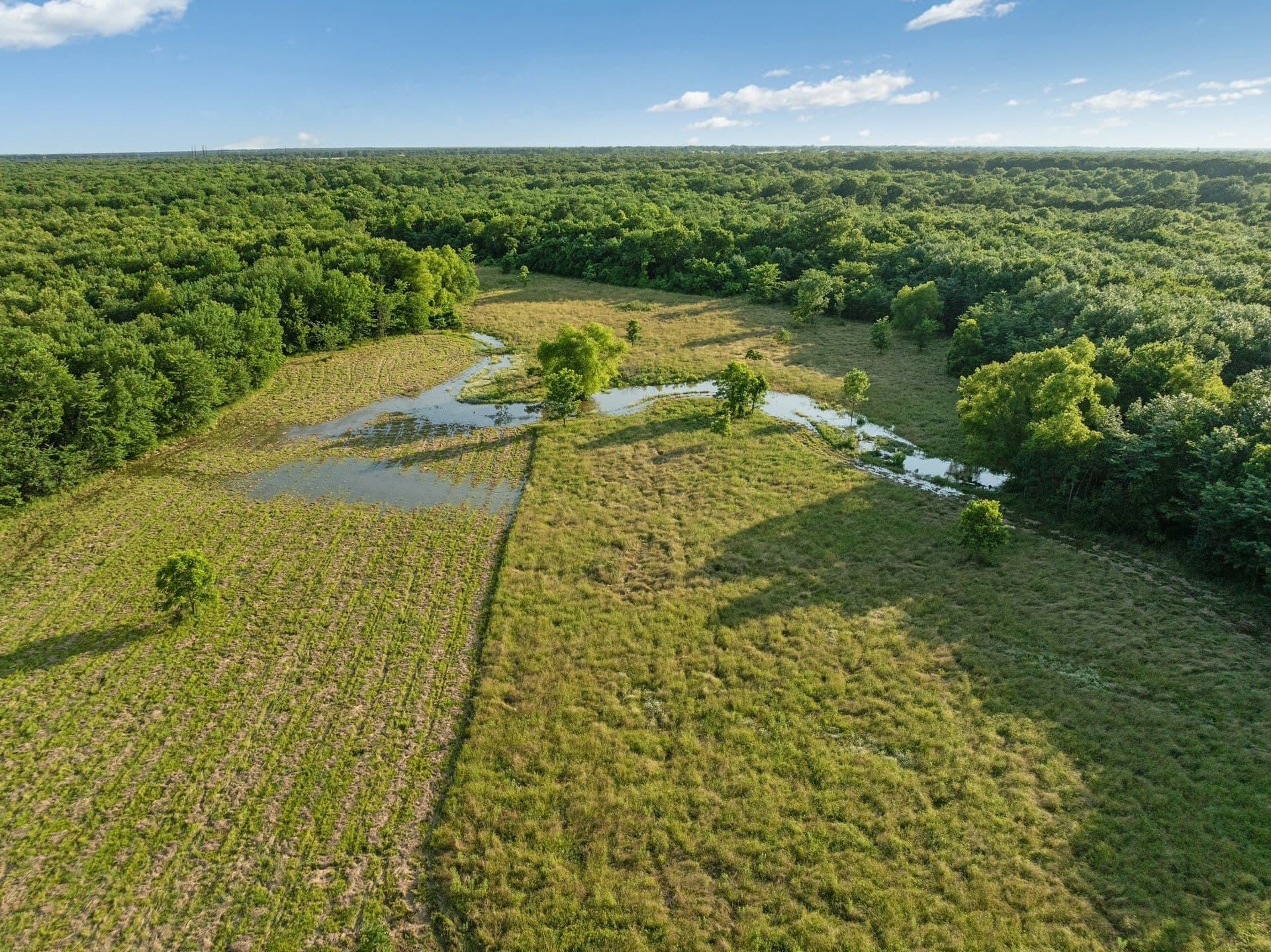 121.93 acres in Lamar County - photo 9
