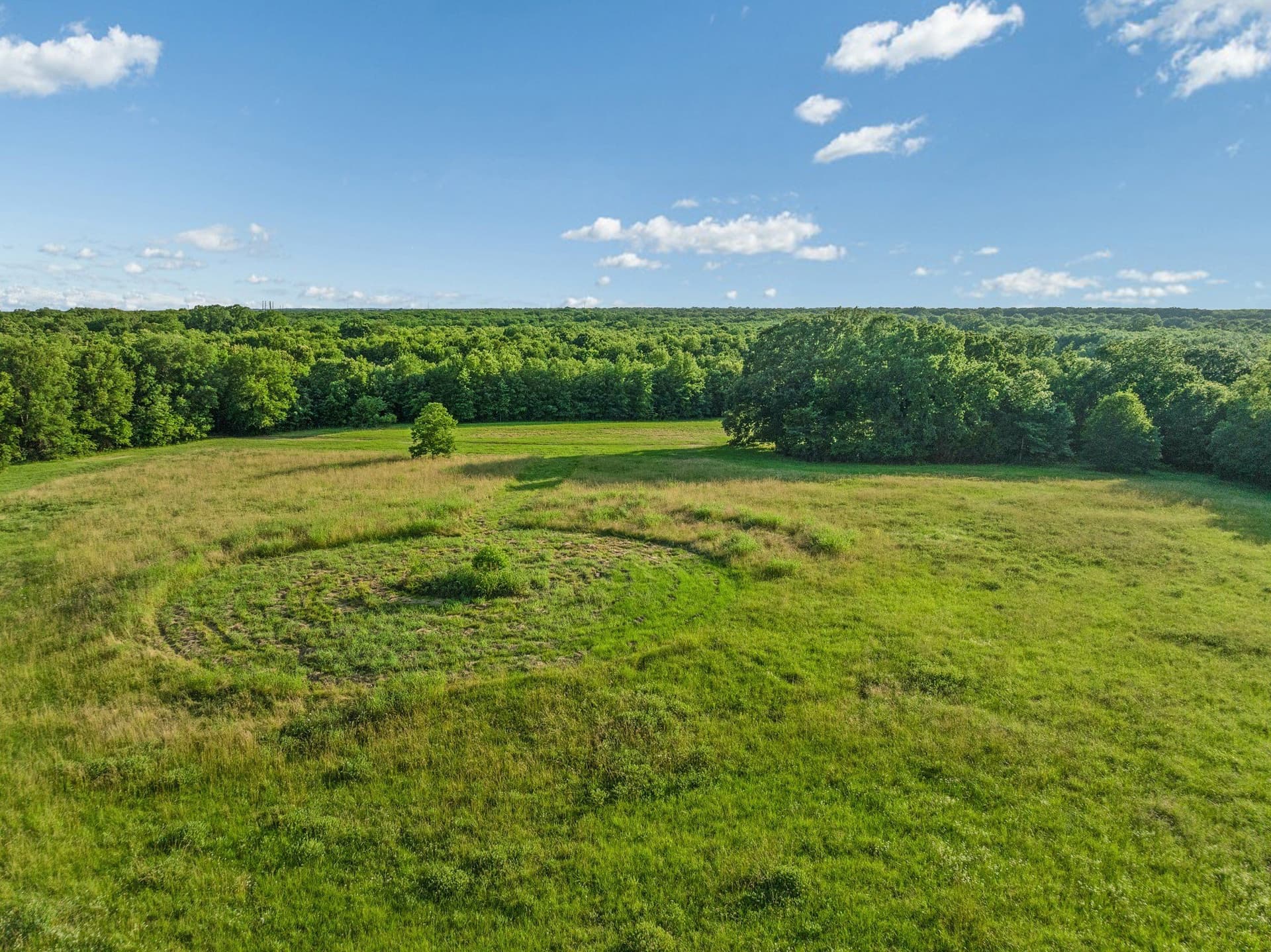121.93 acres in Lamar County - photo 5
