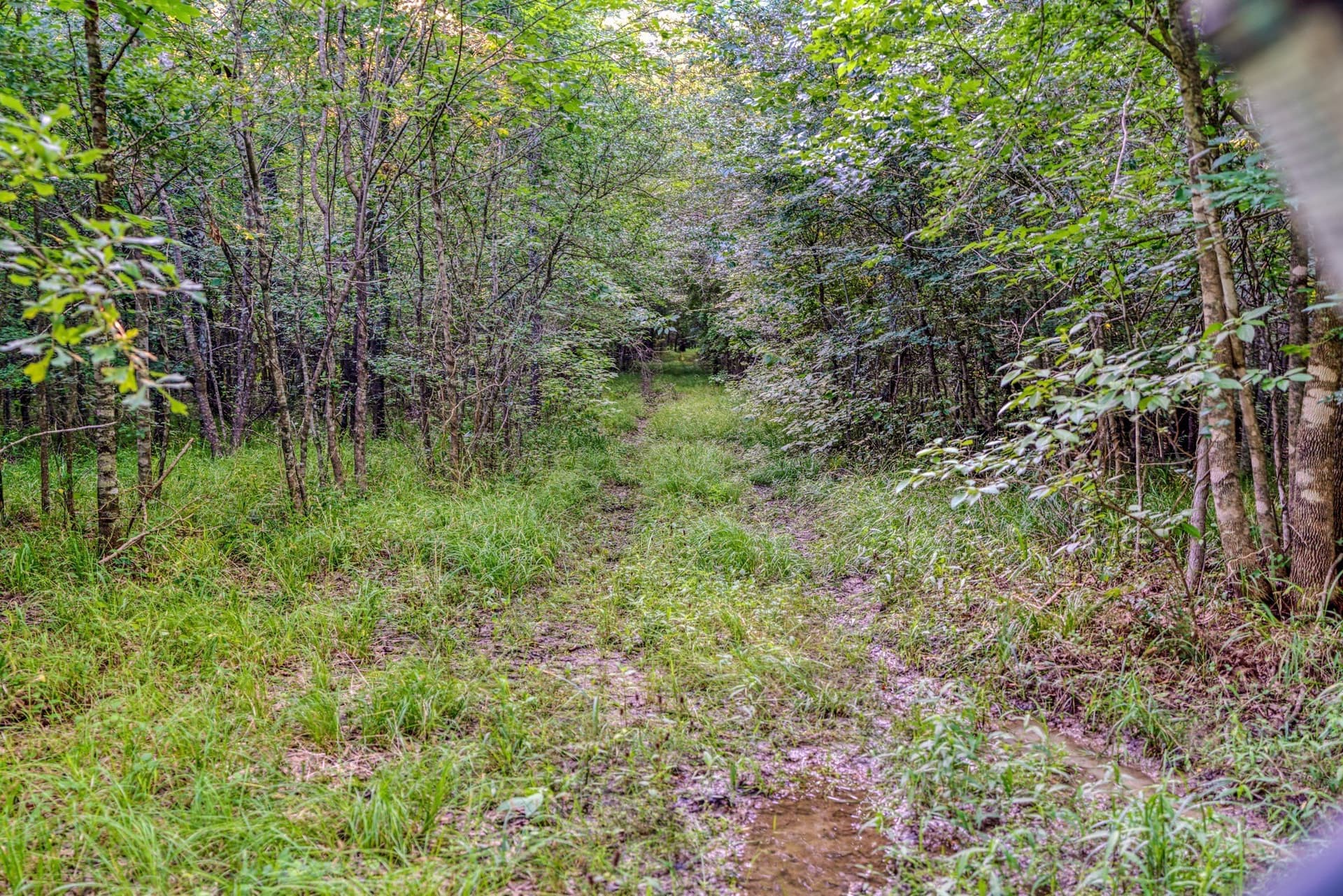 121.93 acres in Lamar County - photo 14
