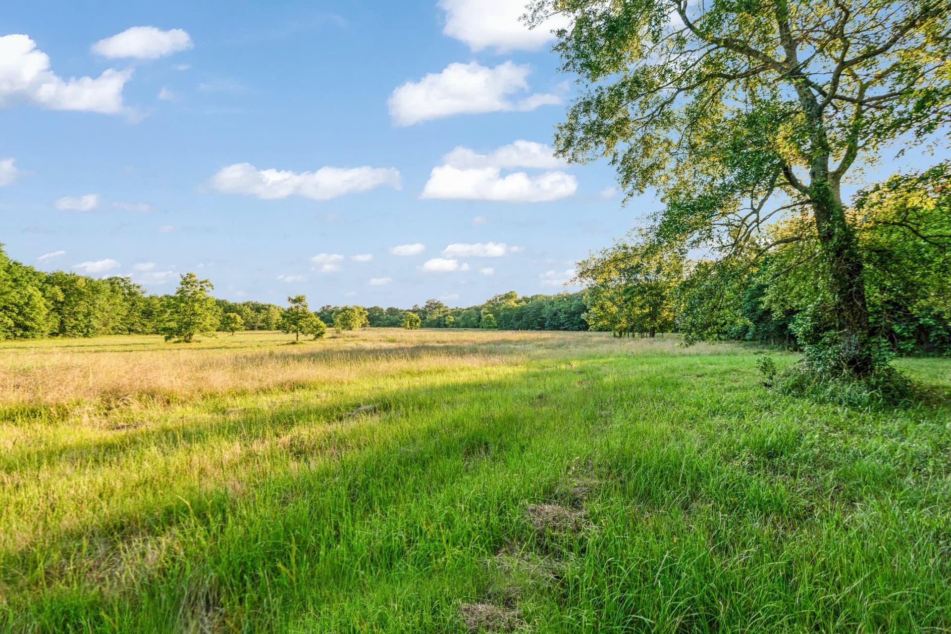 121.93 acres in Lamar County - photo 11