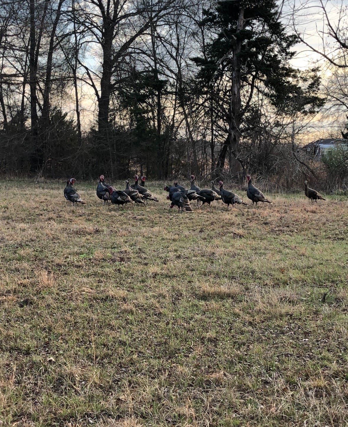 121.93 acres in Lamar County - photo 28