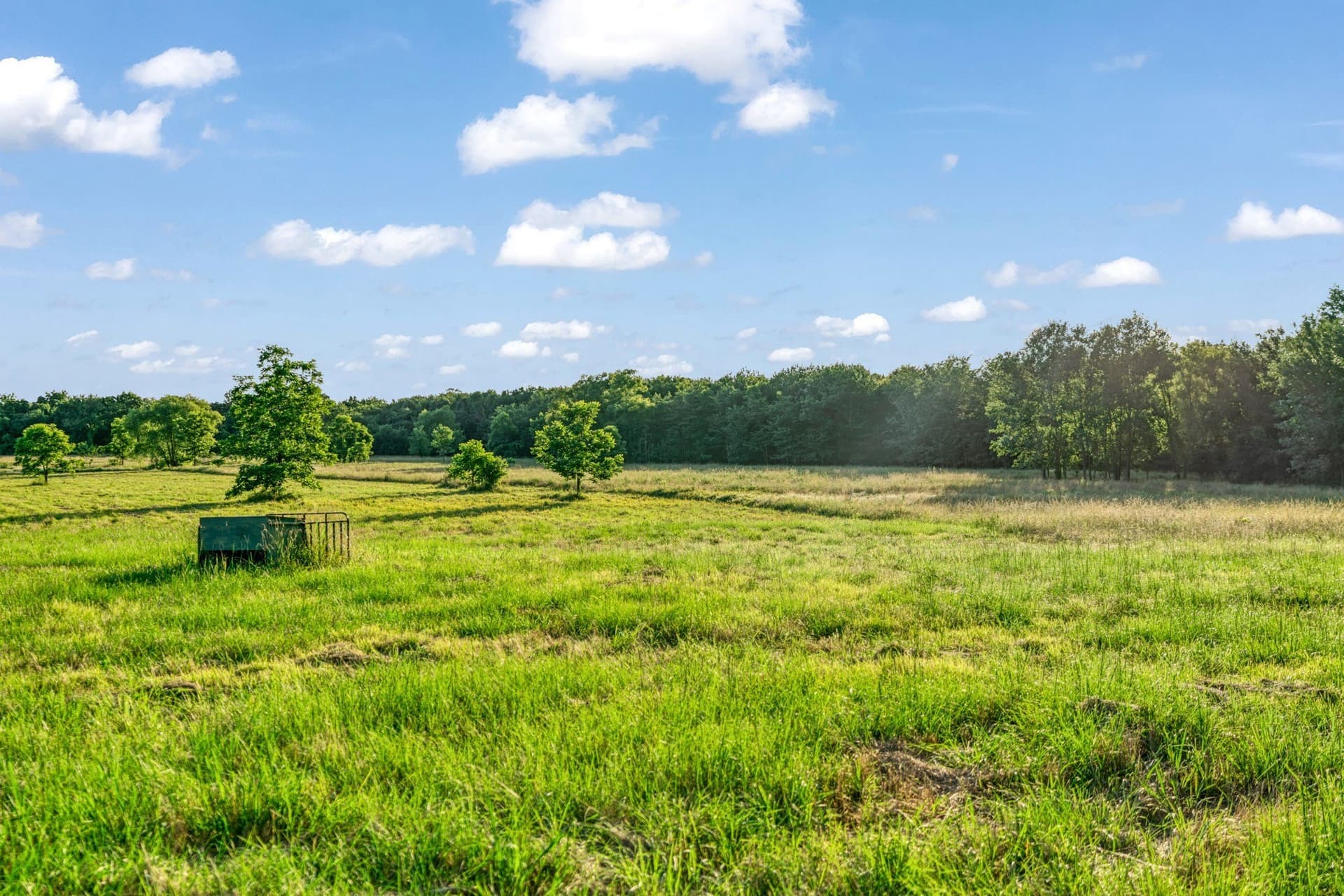 121.93 acres in Lamar County - photo 16