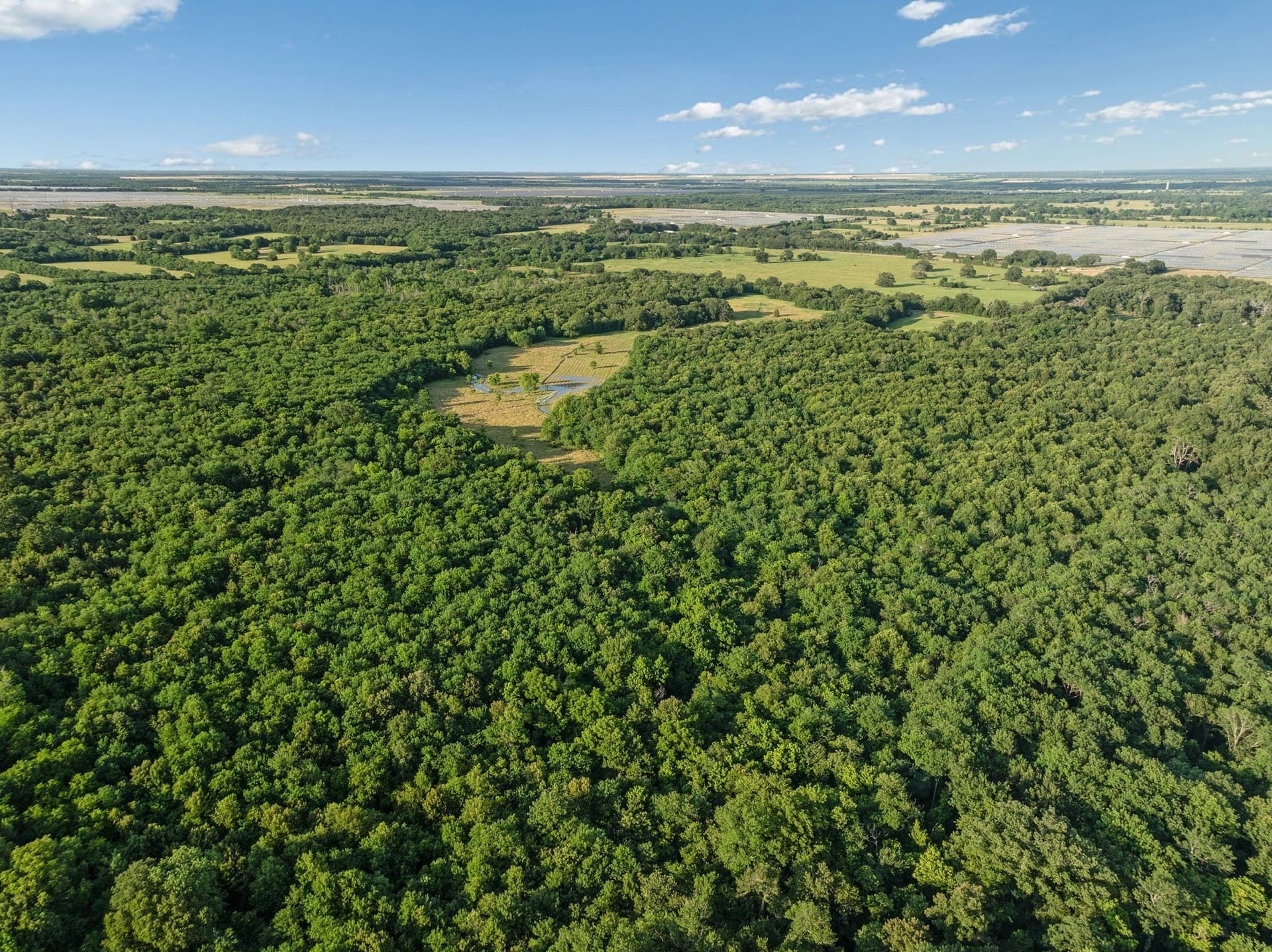 121.93 acres in Lamar County - photo 17
