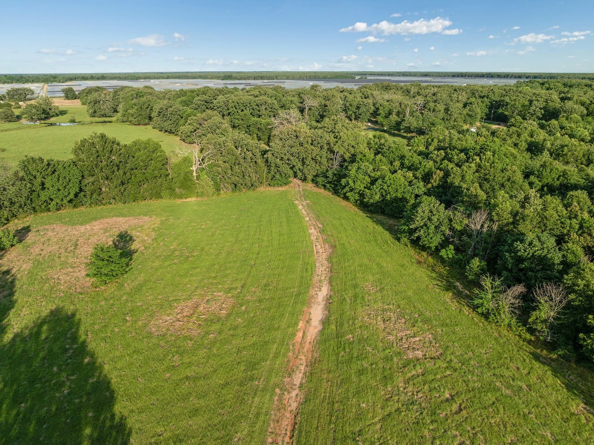 121.93 acres in Lamar County - photo 8