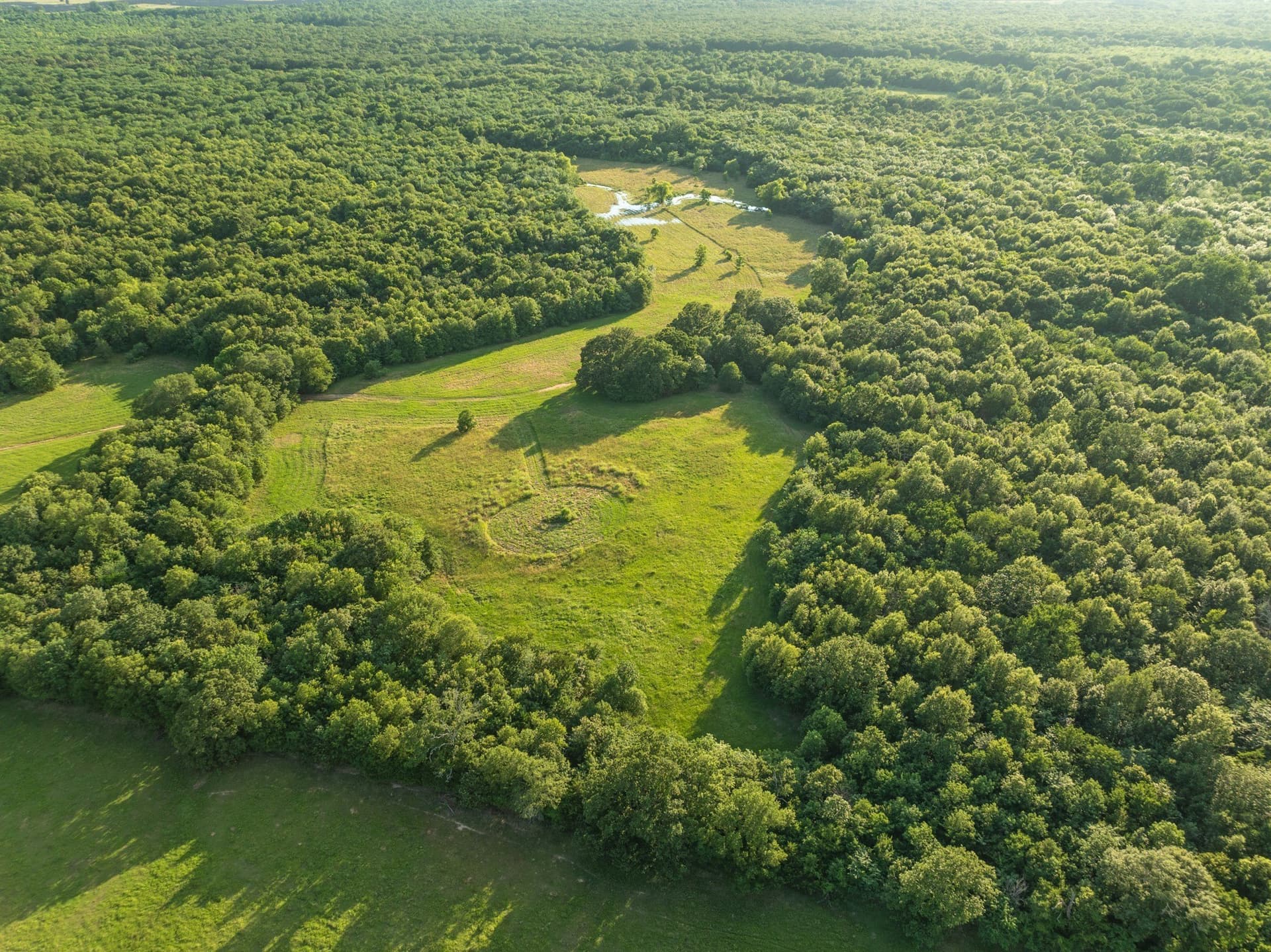 121.93 acres in Lamar County - photo 4