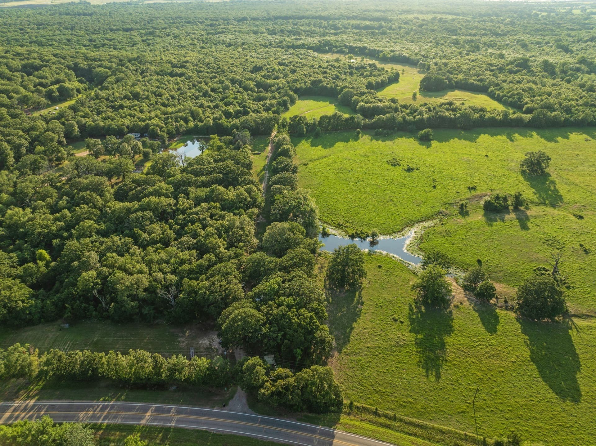 121.93 acres in Lamar County - photo 3