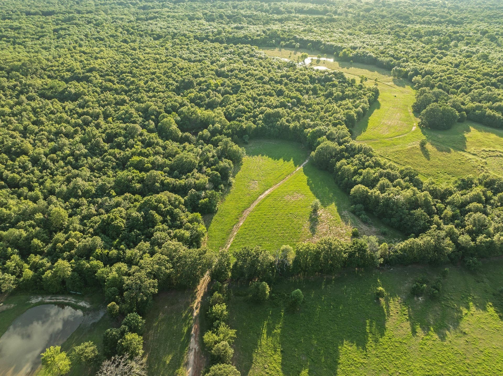 121.93 acres in Lamar County - photo 19