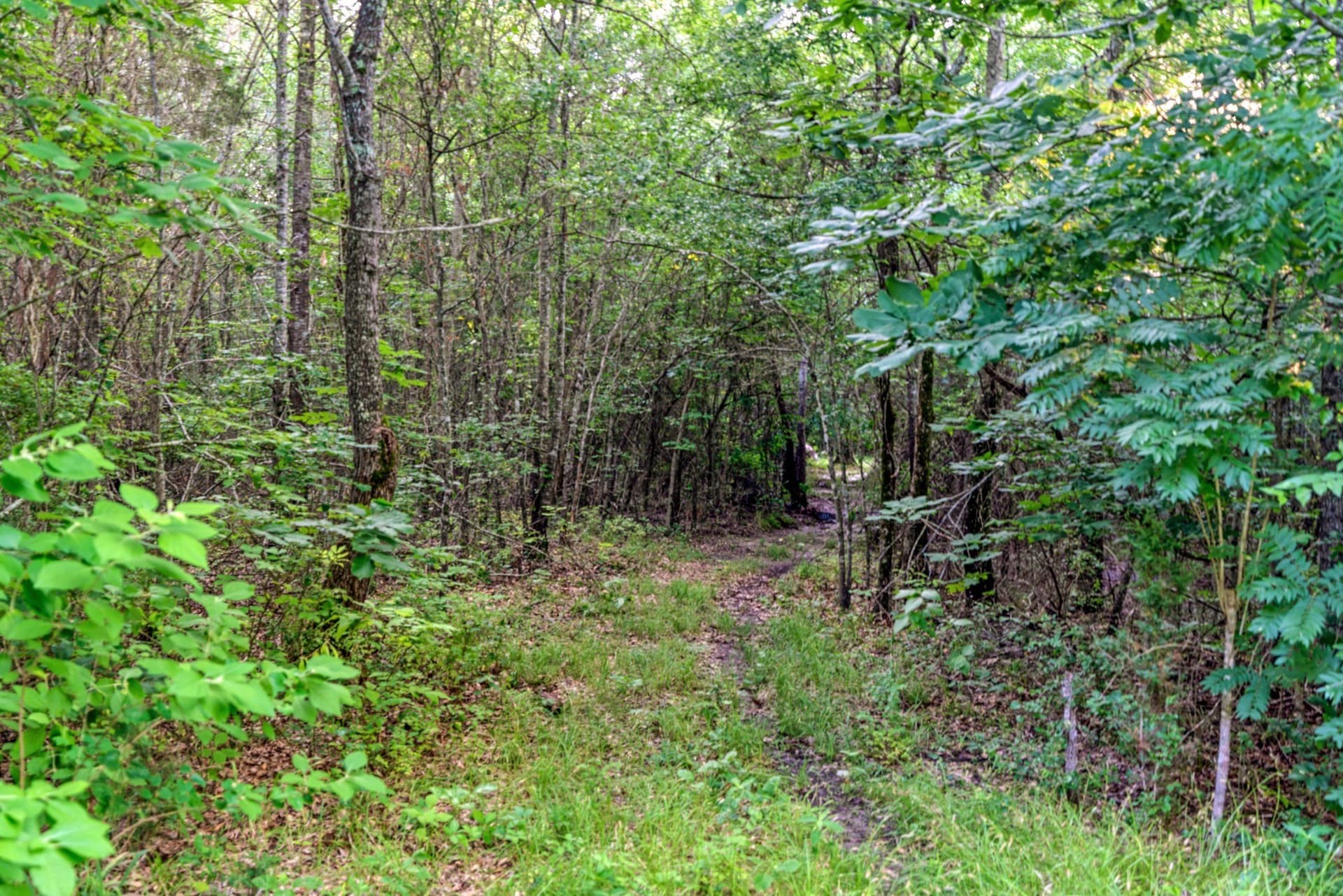 121.93 acres in Lamar County - photo 12