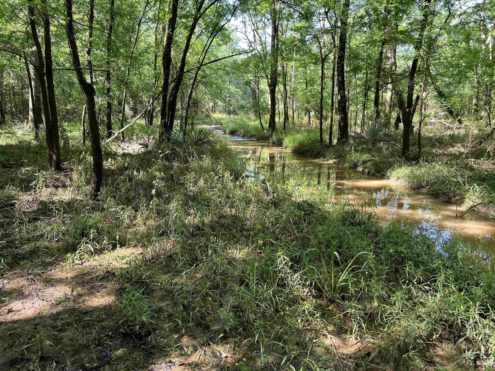 28.25 acres in Panola County - photo 7