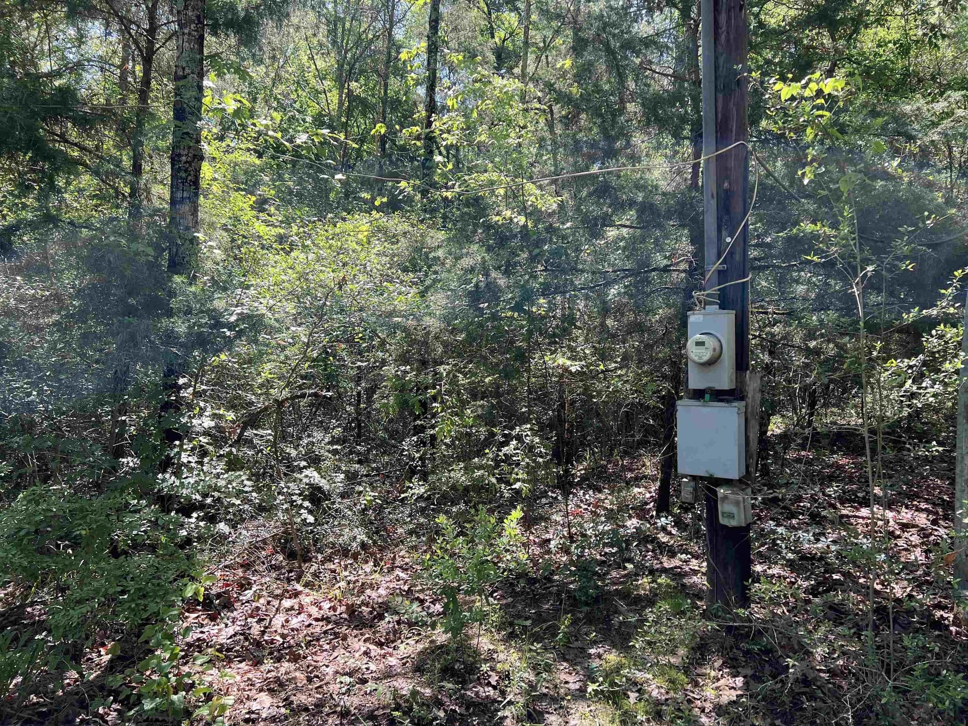 28.25 acres in Panola County - photo 3