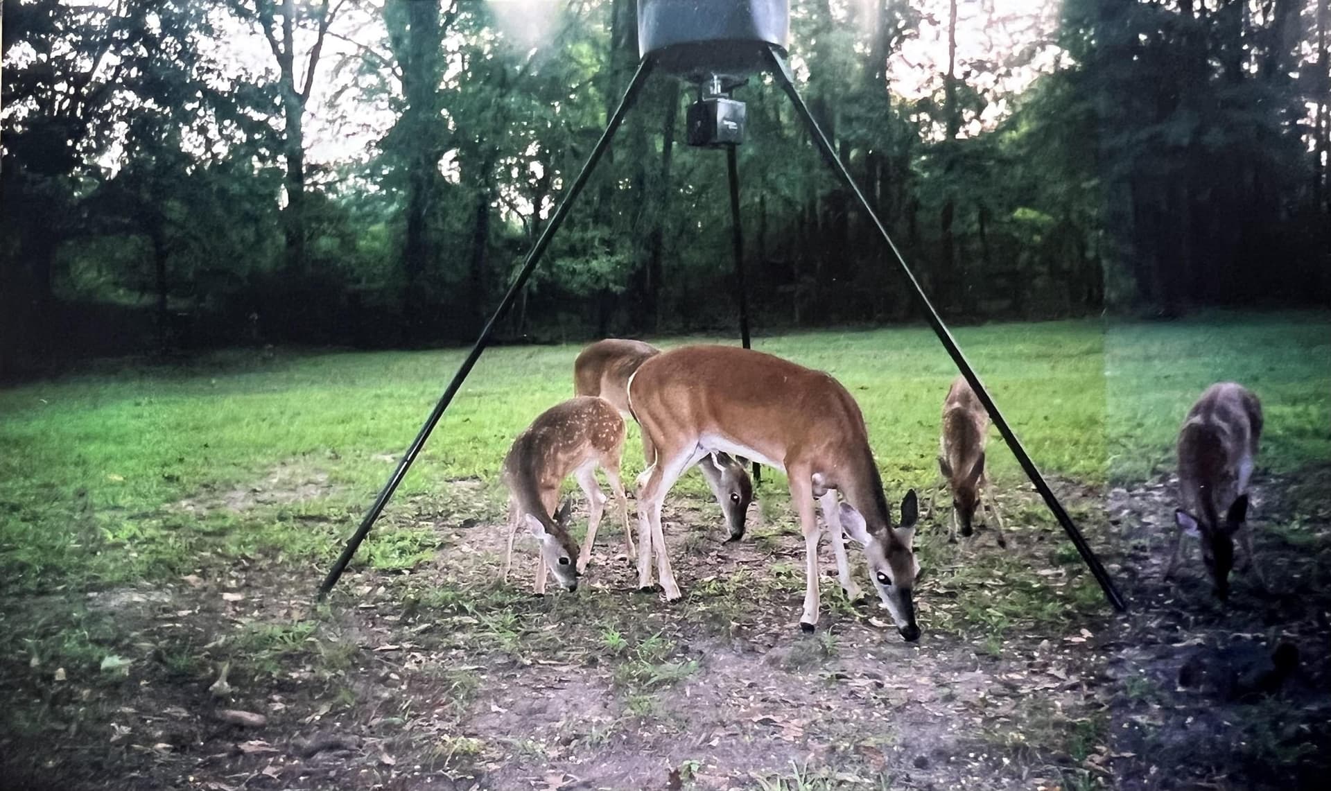 28.25 acres in Panola County - photo 10