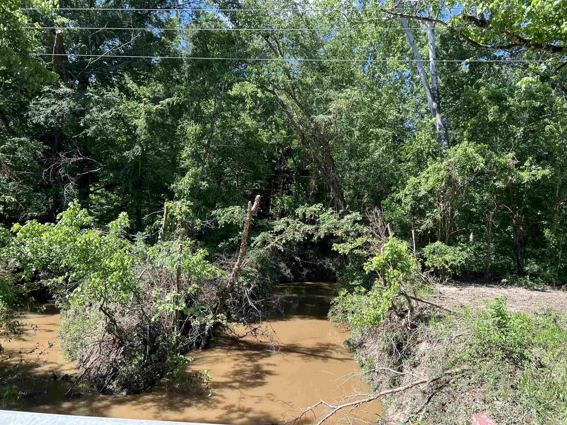 28.25 acres in Panola County - photo 9