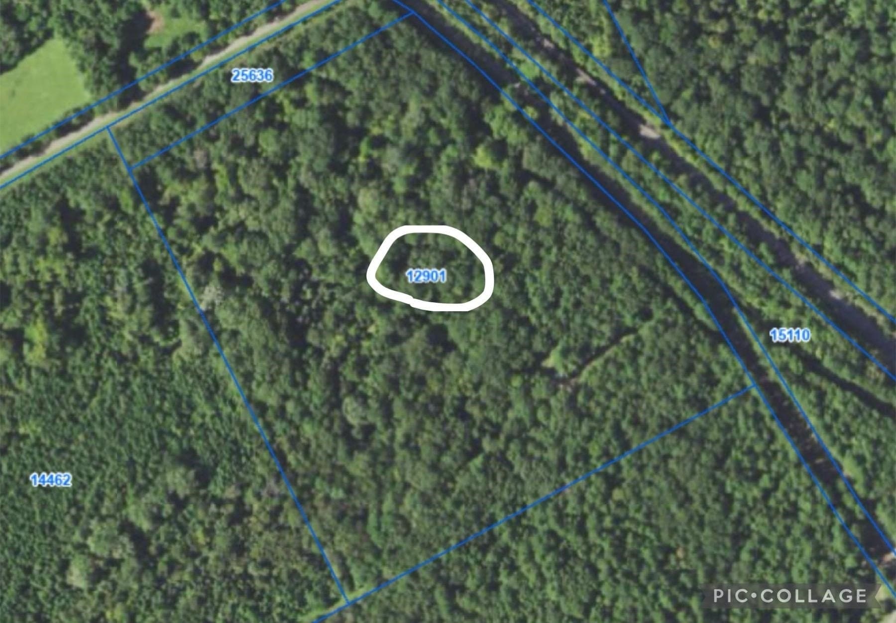 28.25 acres in Panola County - photo 2