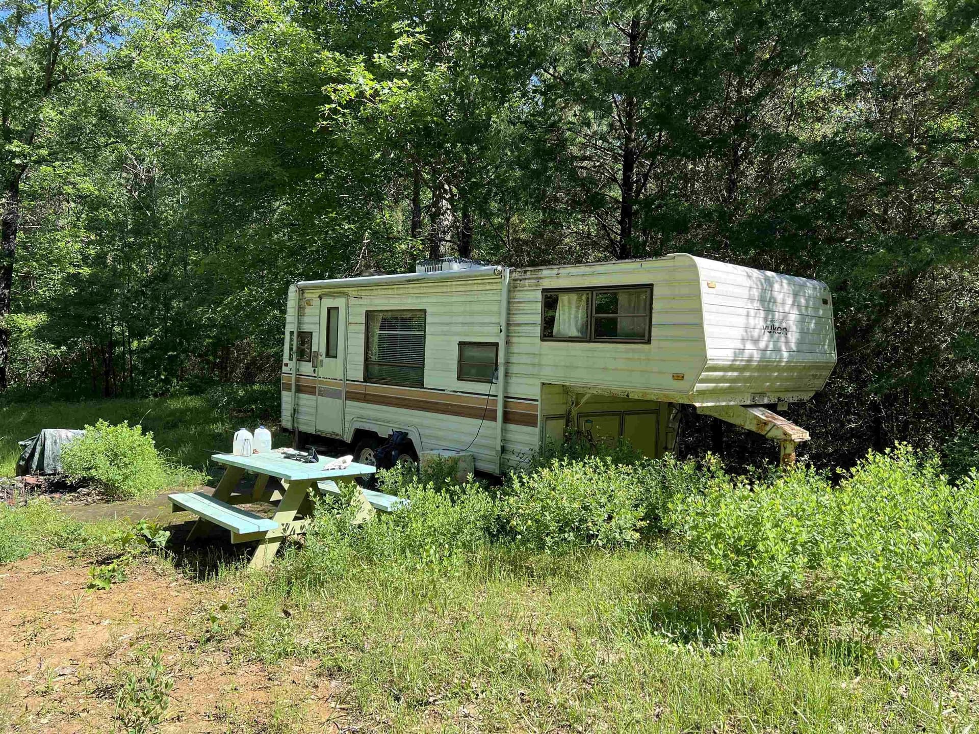 28.25 acres in Panola County - photo 4