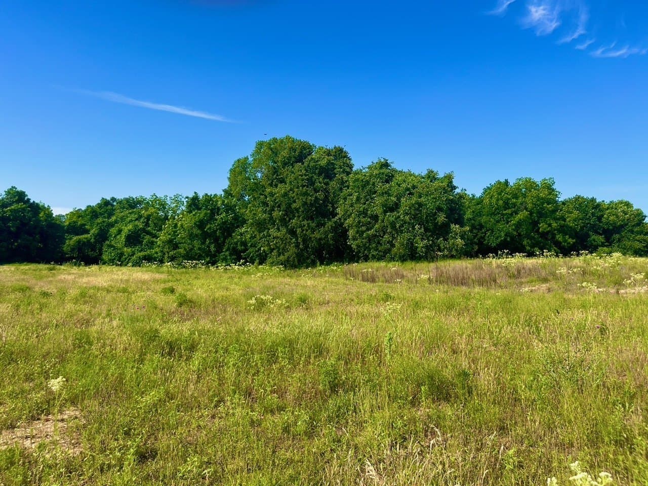 2 acres in Parker County - photo 2