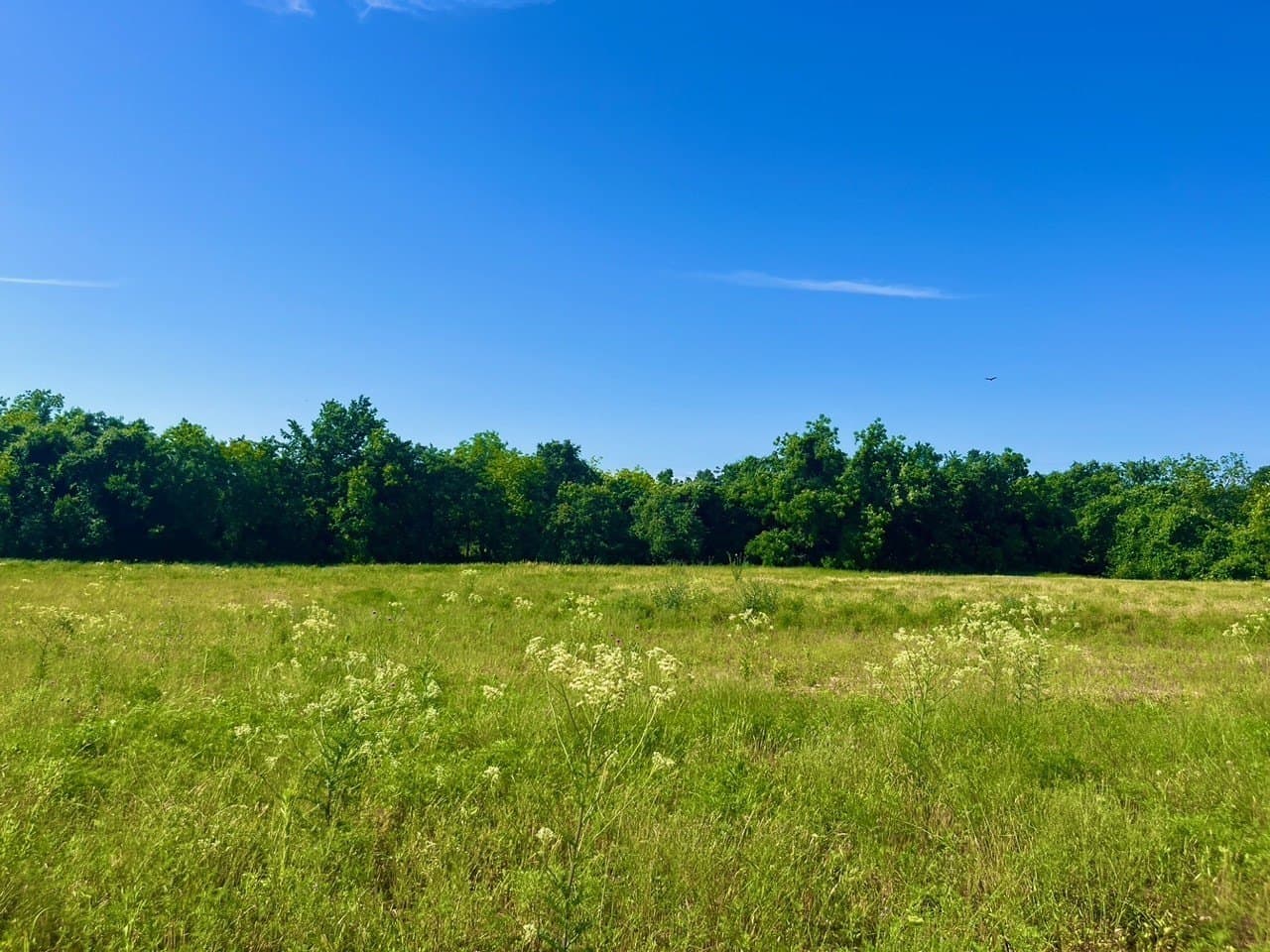 2 acres in Parker County