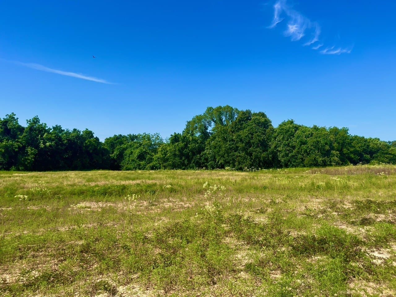 2 acres in Parker County - photo 3