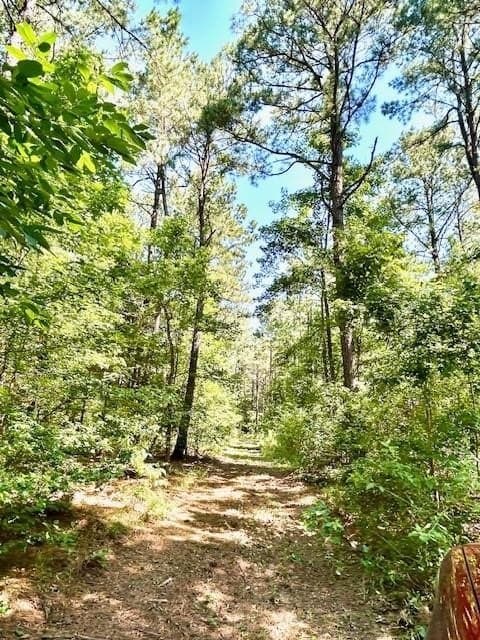 75 acres in Red River (TX) County gallery image 2