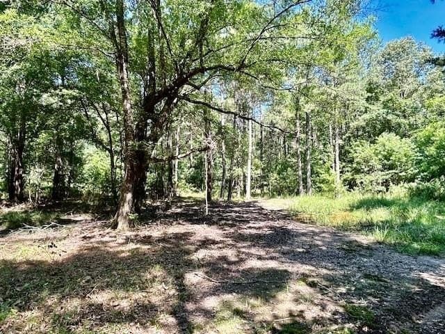 75 acres in Red River (TX) County