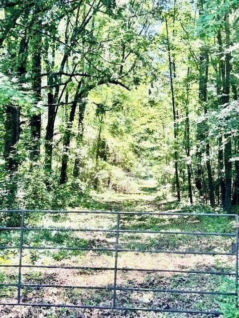 75 acres in Red River (TX) County gallery image 3