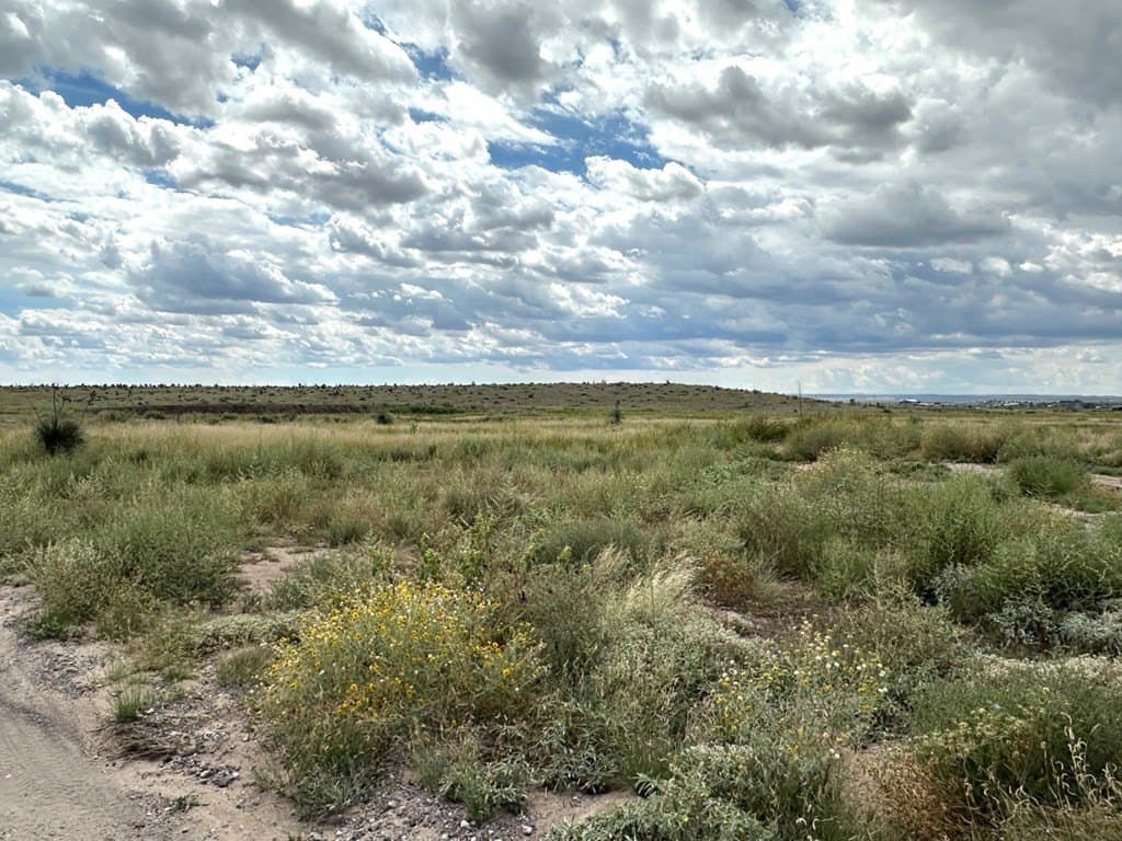 5 acres in Presidio County gallery image 3