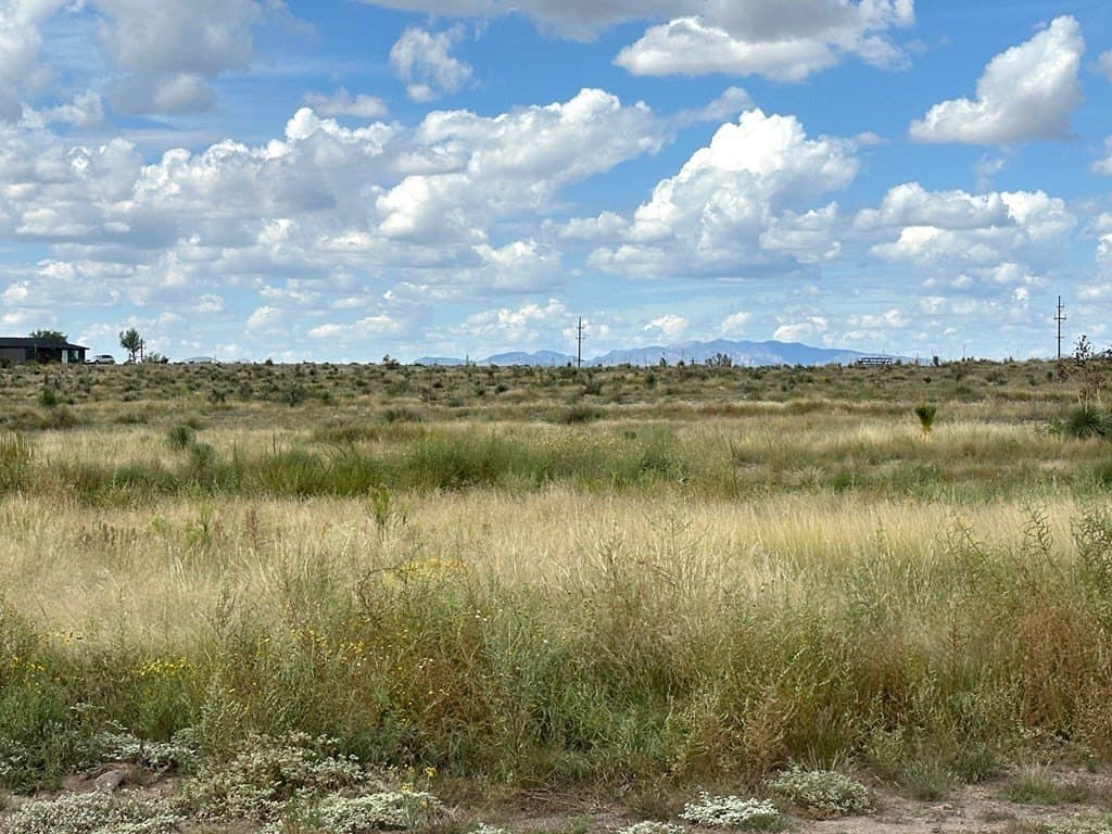 5 acres in Presidio County gallery image 2