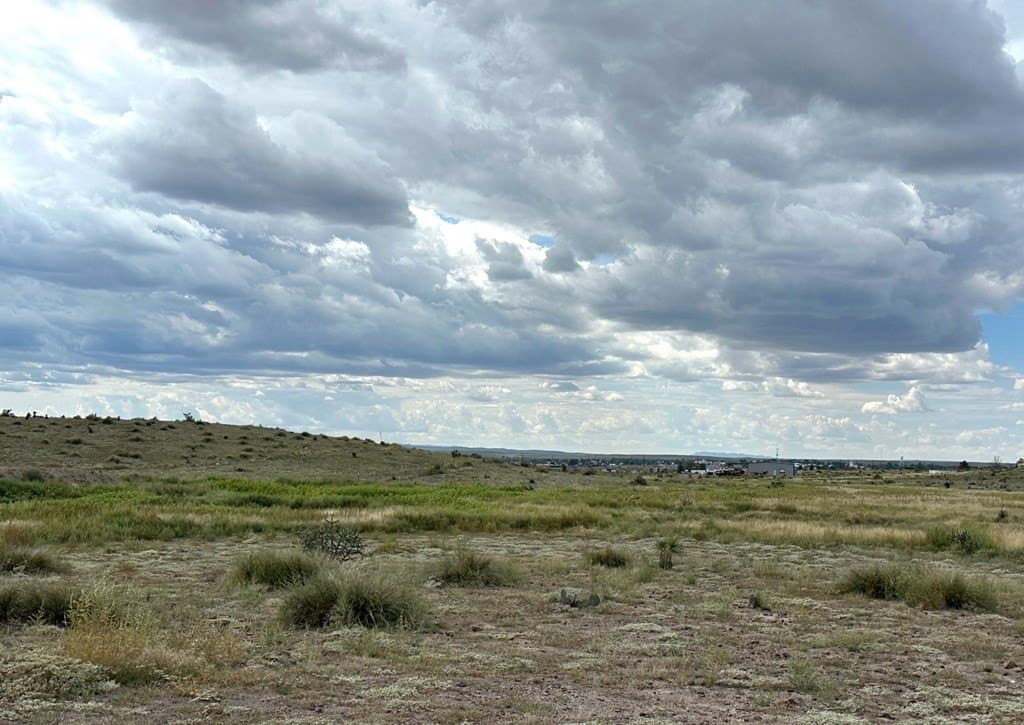 5 acres in Presidio County featured view