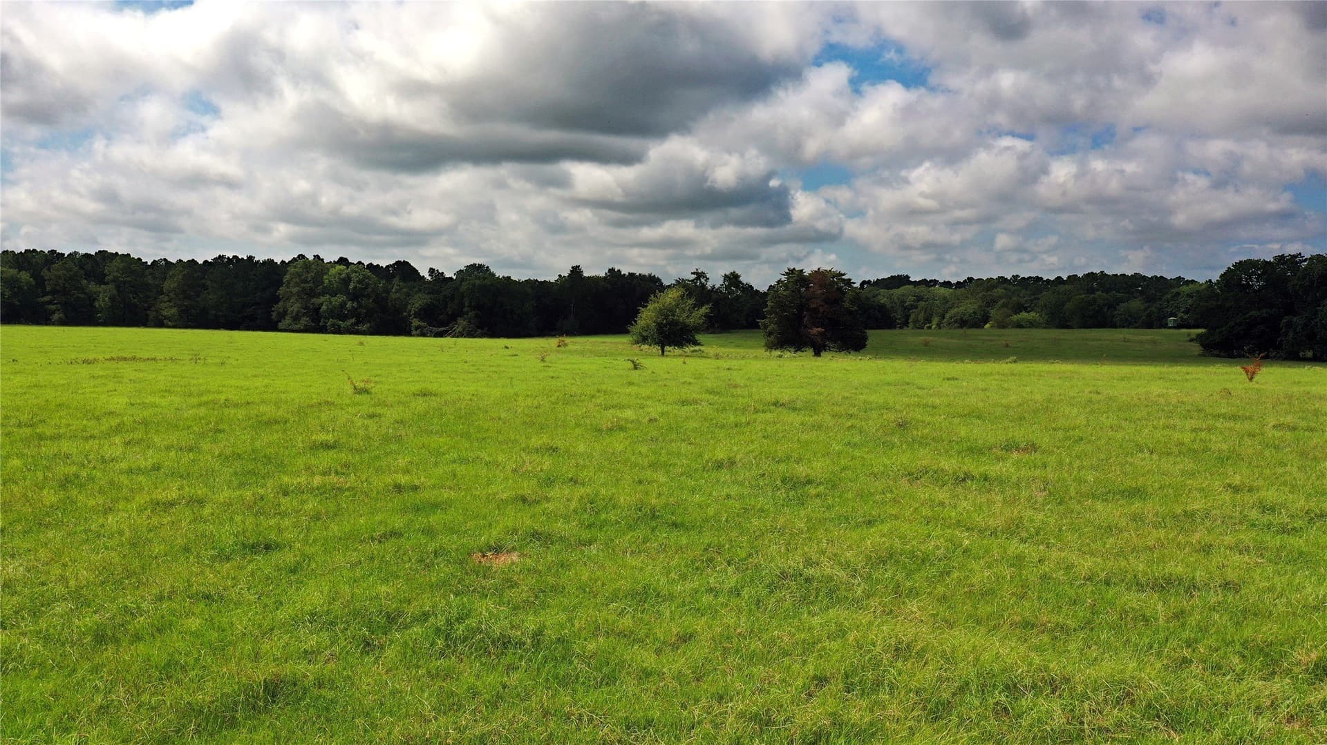 255.69 acres in Navarro County - photo 22