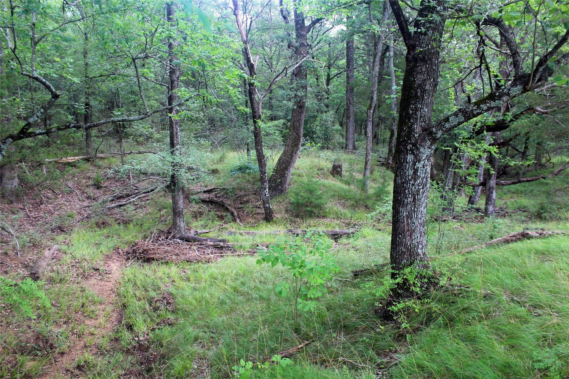255.69 acres in Navarro County - photo 10