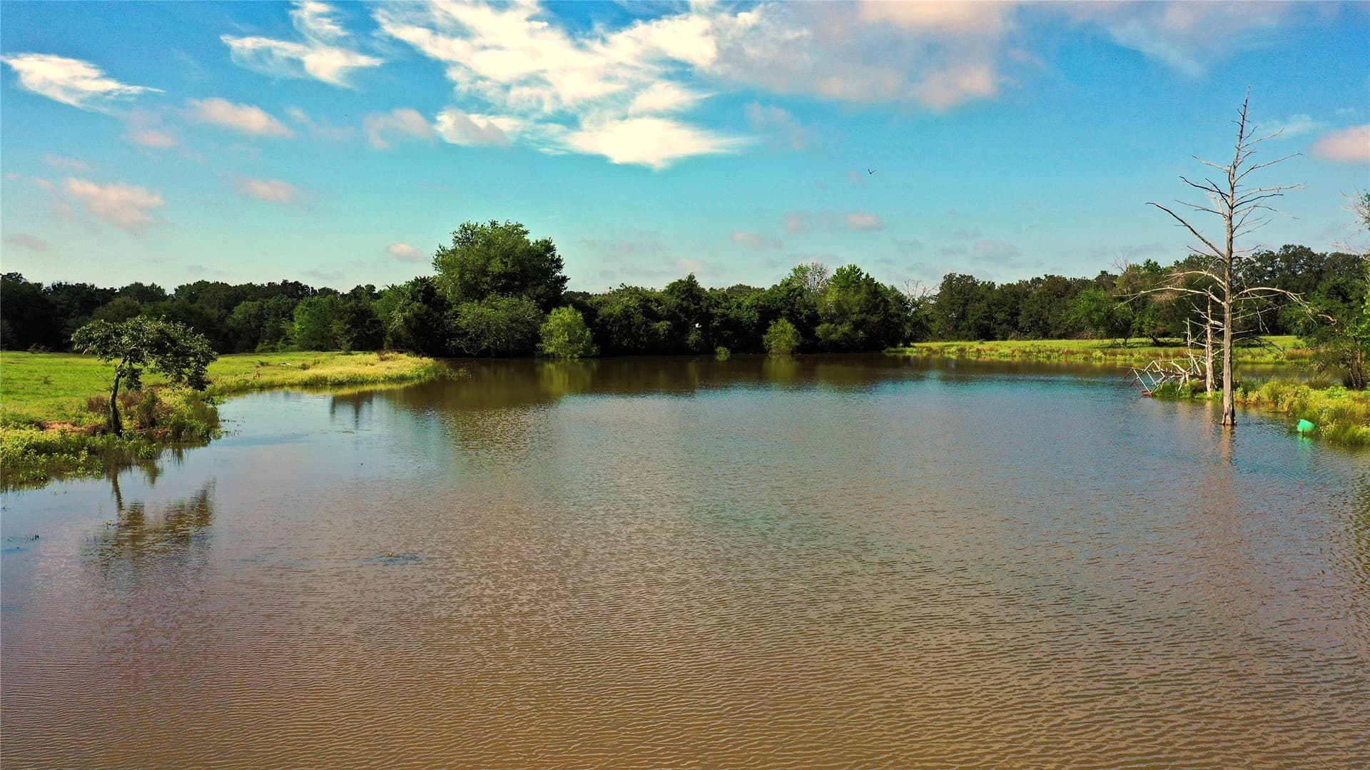 255.69 acres in Navarro County - photo 13