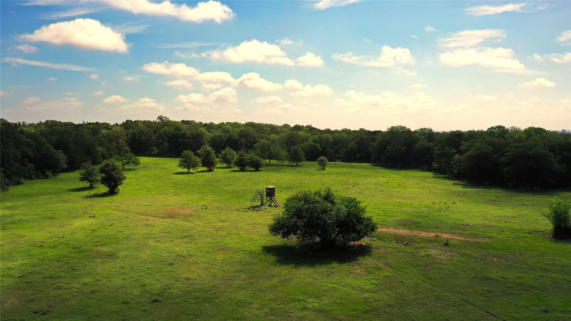 255.69 acres in Navarro County - photo 9