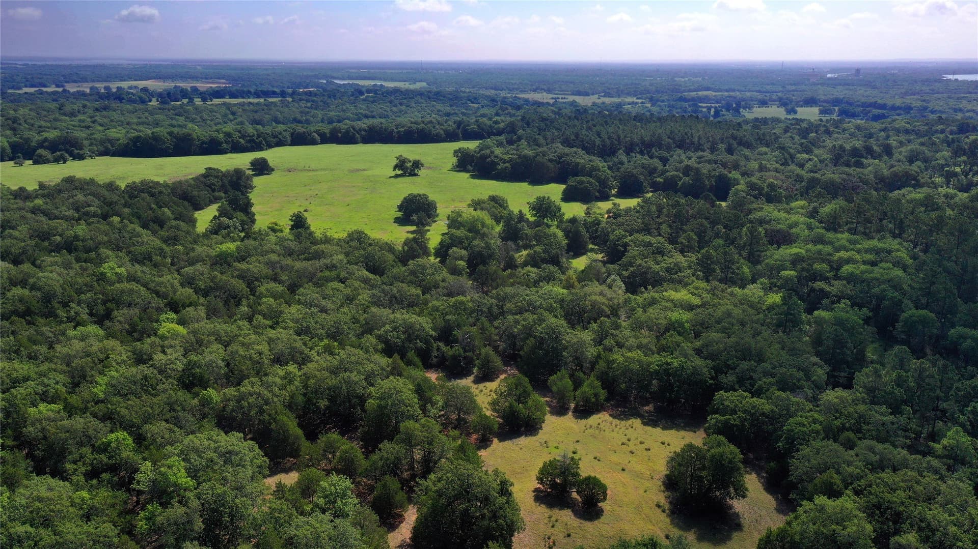 255.69 acres in Navarro County - photo 17