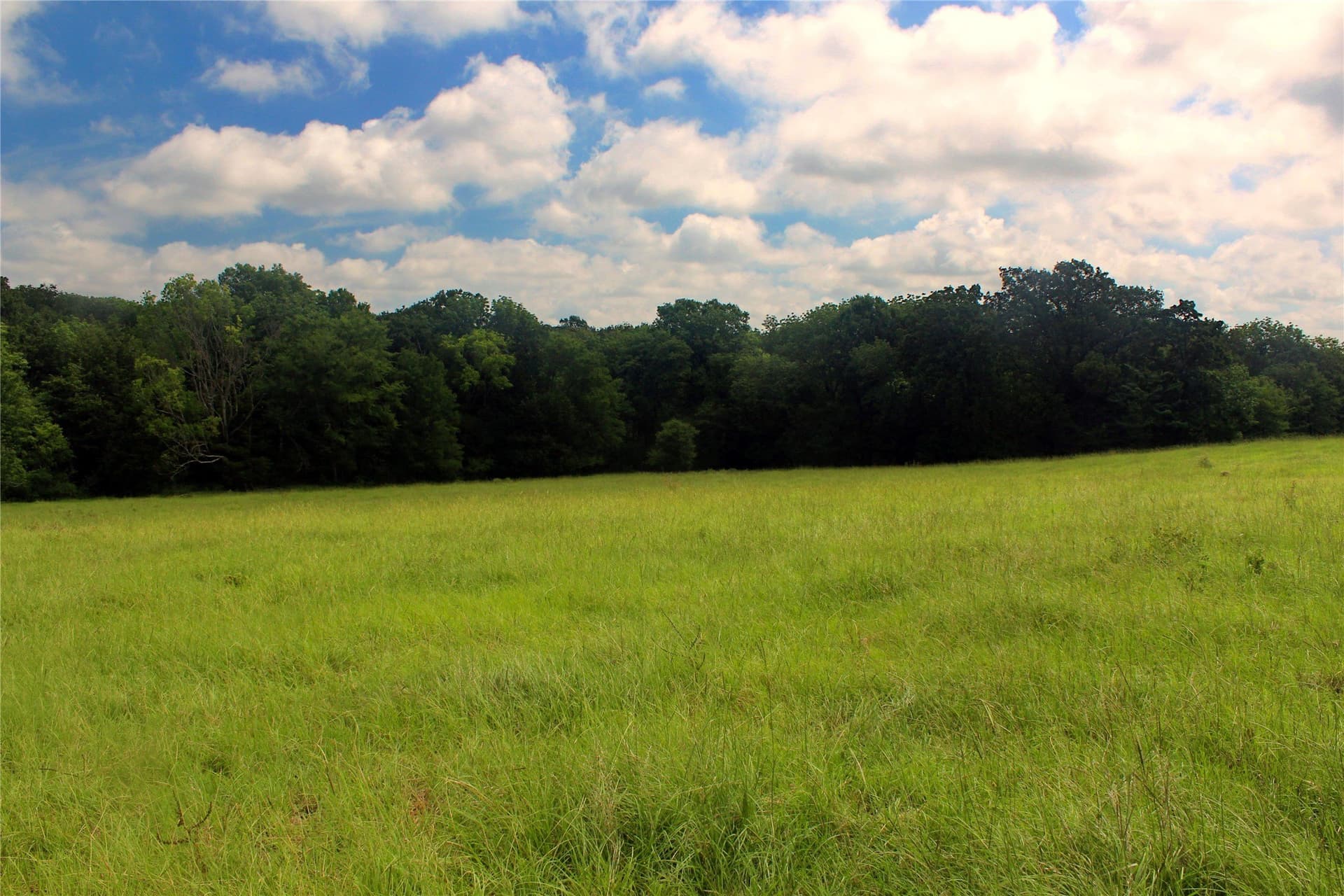 255.69 acres in Navarro County - photo 11