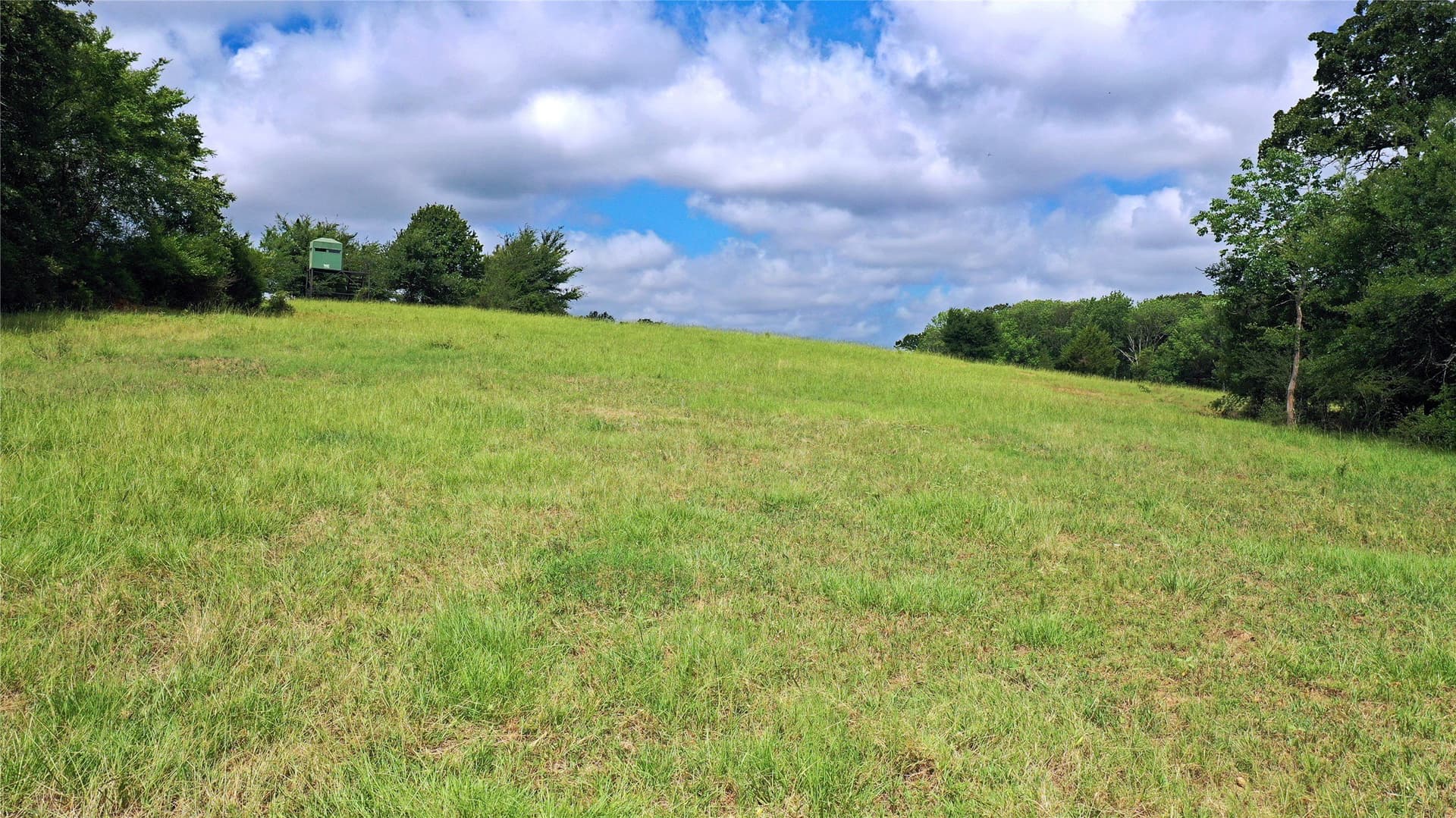 255.69 acres in Navarro County - photo 6