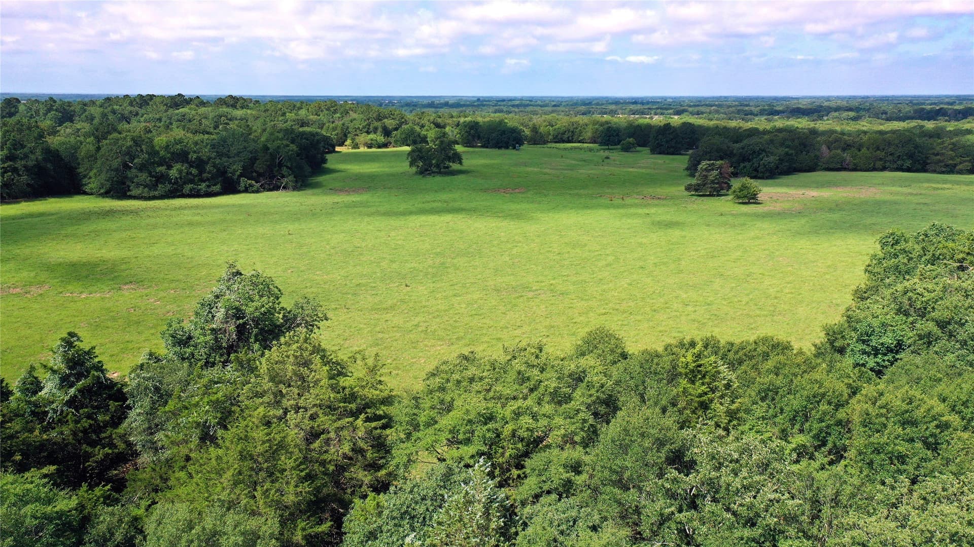 255.69 acres in Navarro County - photo 3